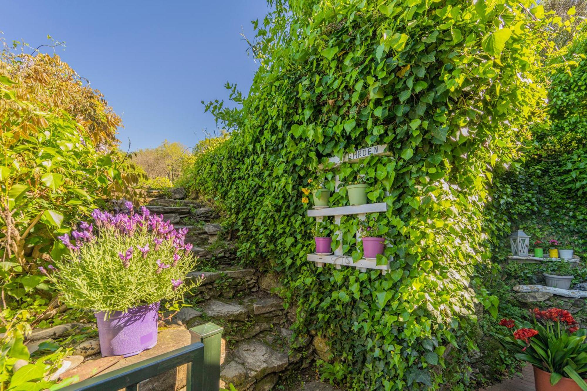 Villa Casale In Vigna, Cinqueterrecoast Casarza Ligure Exterior foto